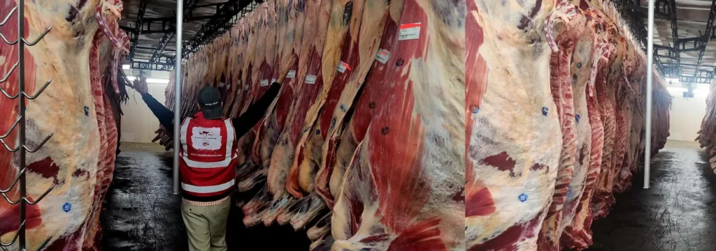 Halal Meat Boston Slaughterhouse