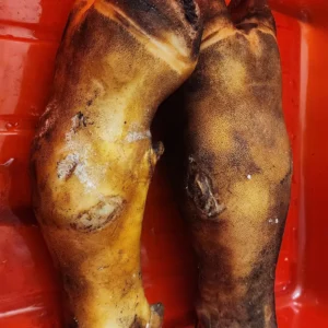 Beef Feet Uncut