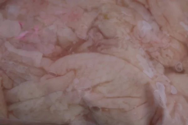 Chicken Skin - Image 4