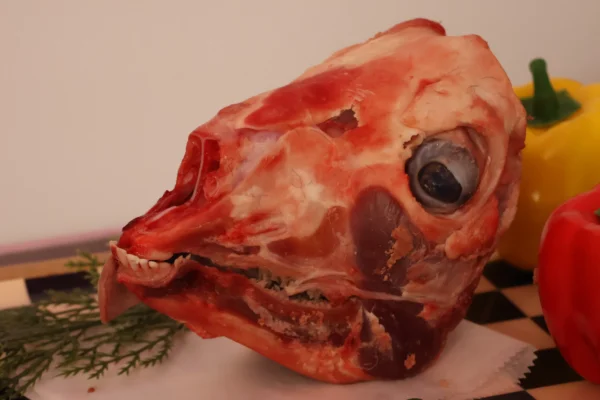 Goat Head Whole - Image 2
