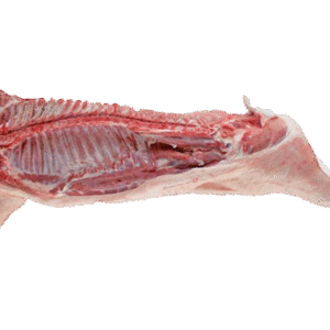 Goat Whole Carcass