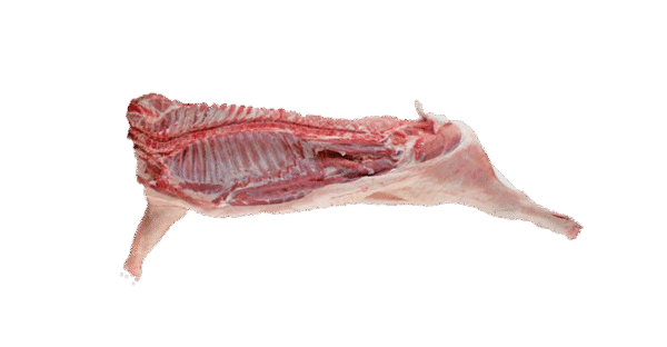 Goat Whole Carcass