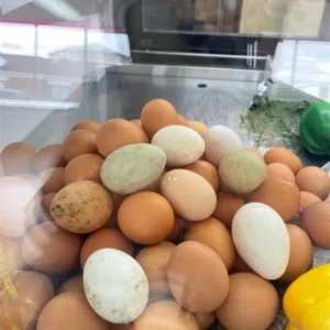 Local Farm Eggs