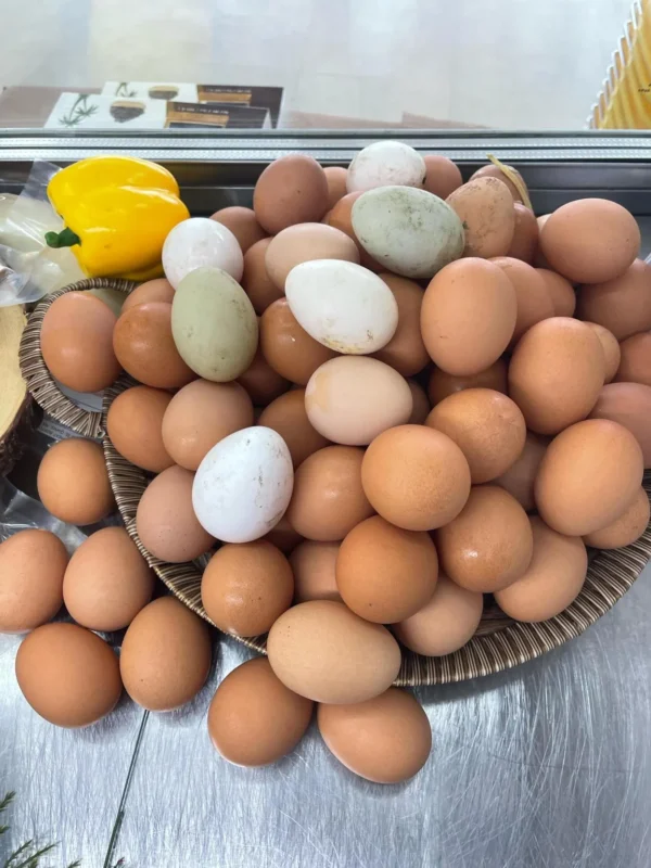 Local Farm Eggs - Image 2