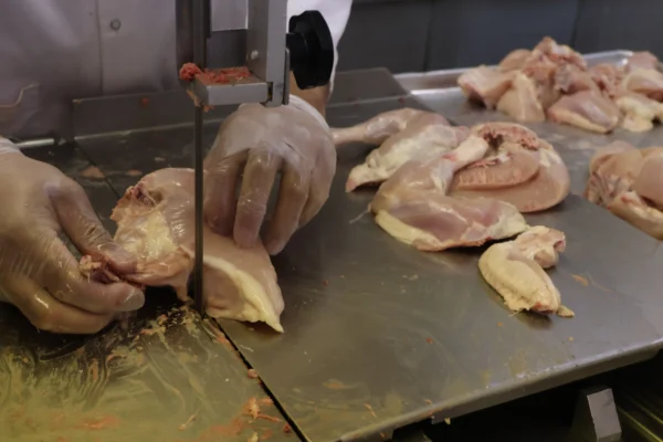 Whole Chicken Skinless – Stew Cut (Desi Style) - Image 16