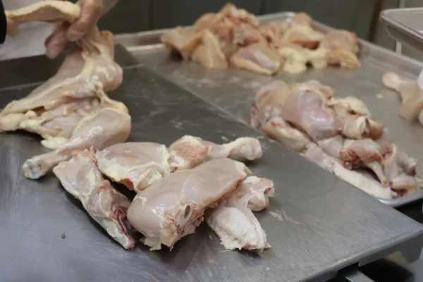 Whole Chicken Skinless – Stew Cut (Desi Style) - Image 17