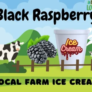 black raspberry Halal meat boston