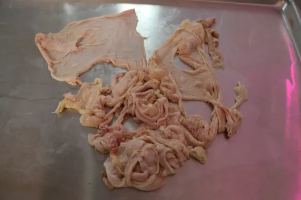 Chicken Skin - Image 14