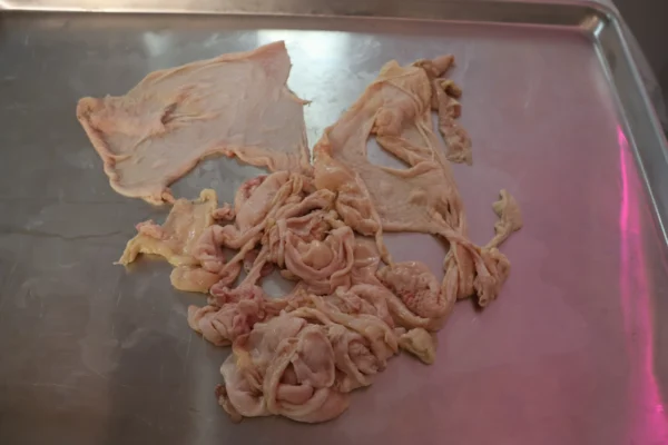Chicken Skin - Image 15