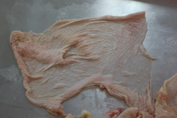 Chicken Skin - Image 16