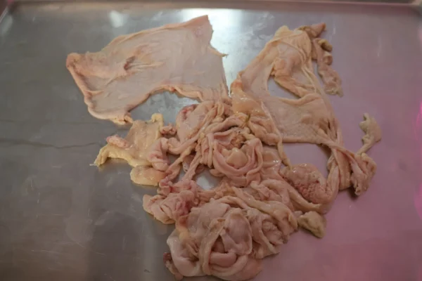 Chicken Skin - Image 17